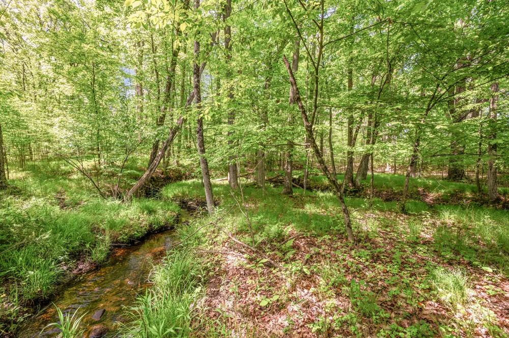 220th Avenue Big Rapids, MI 49307