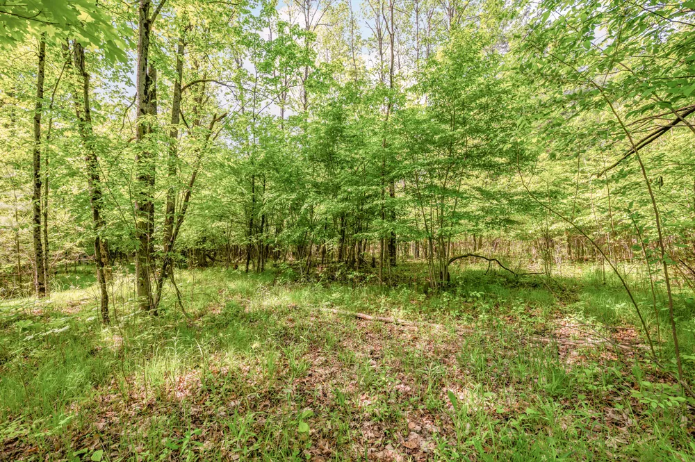220th Avenue Big Rapids, MI 49307