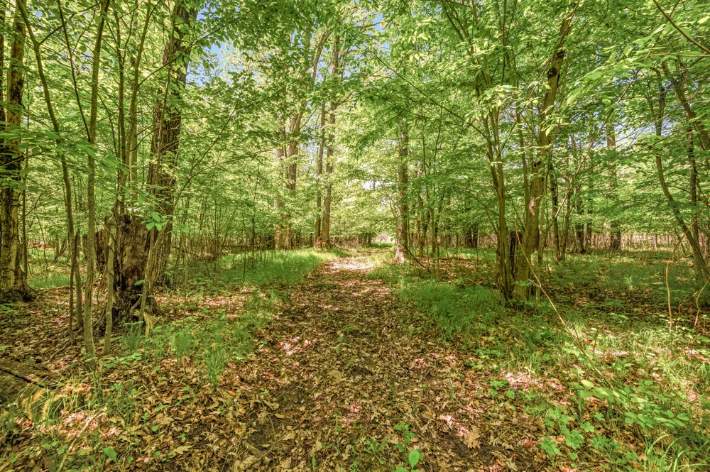 220th Avenue Big Rapids, MI 49307