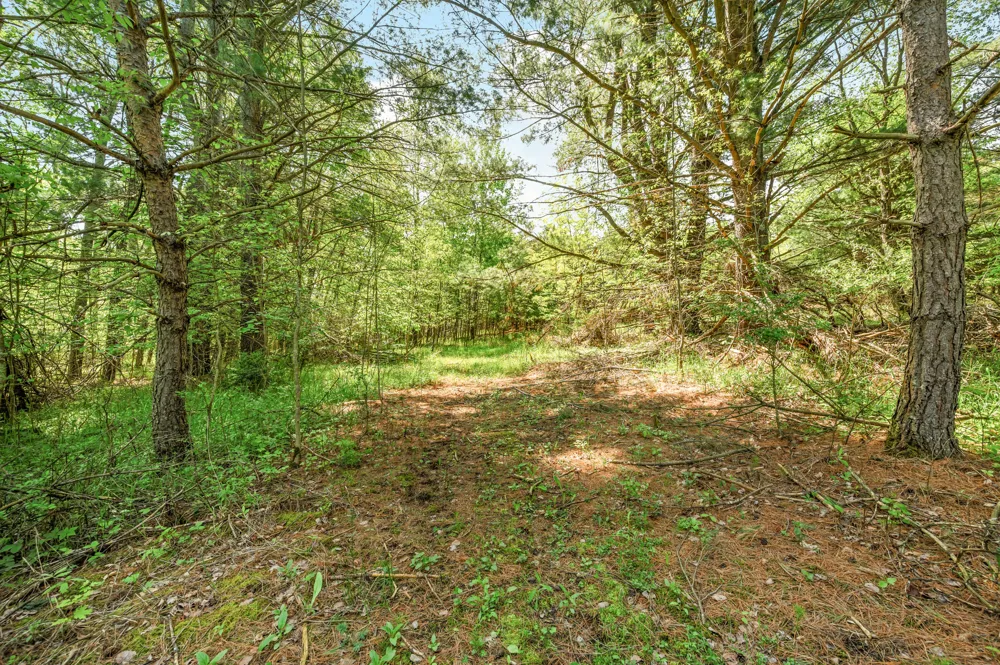 220th Avenue Big Rapids, MI 49307
