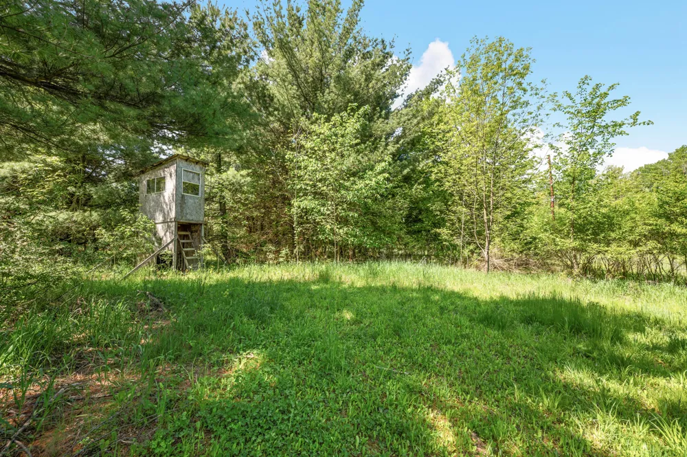 220th Avenue Big Rapids, MI 49307