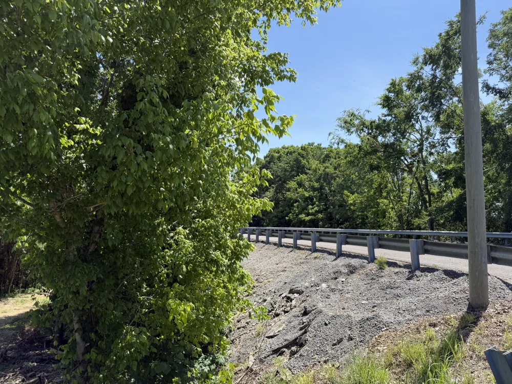 0 City Park Rd Westmoreland, TN 37186