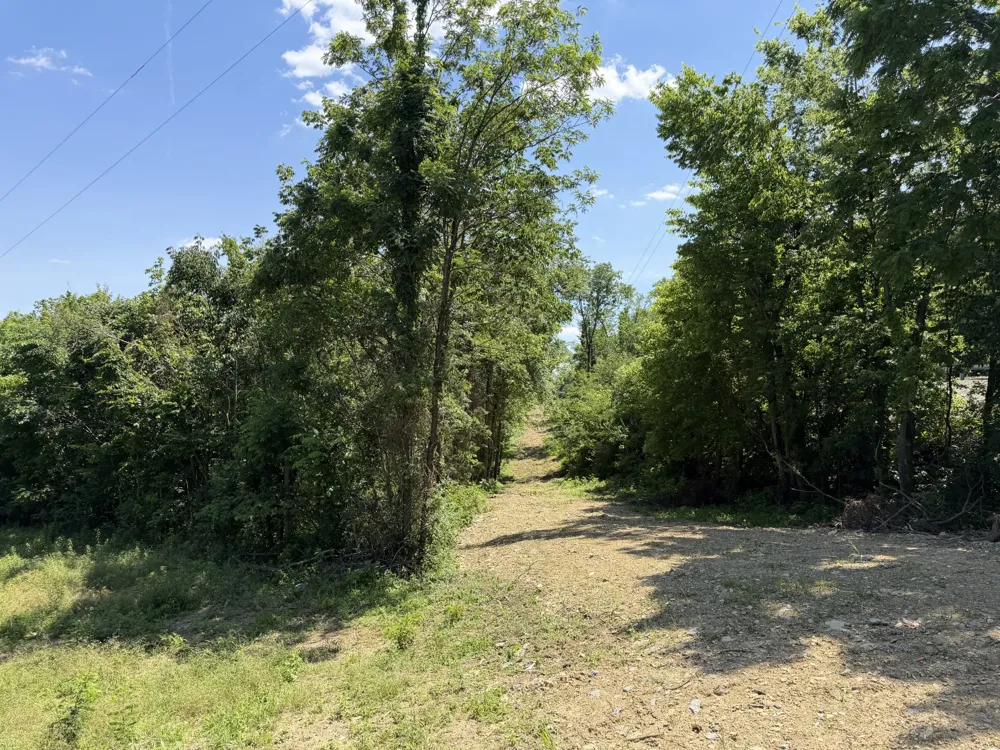 0 City Park Rd Westmoreland, TN 37186