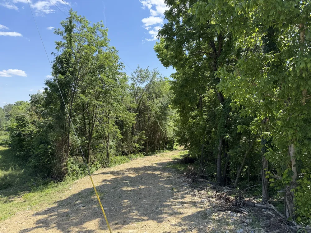 0 City Park Rd Westmoreland, TN 37186