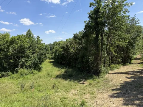 0 City Park Rd