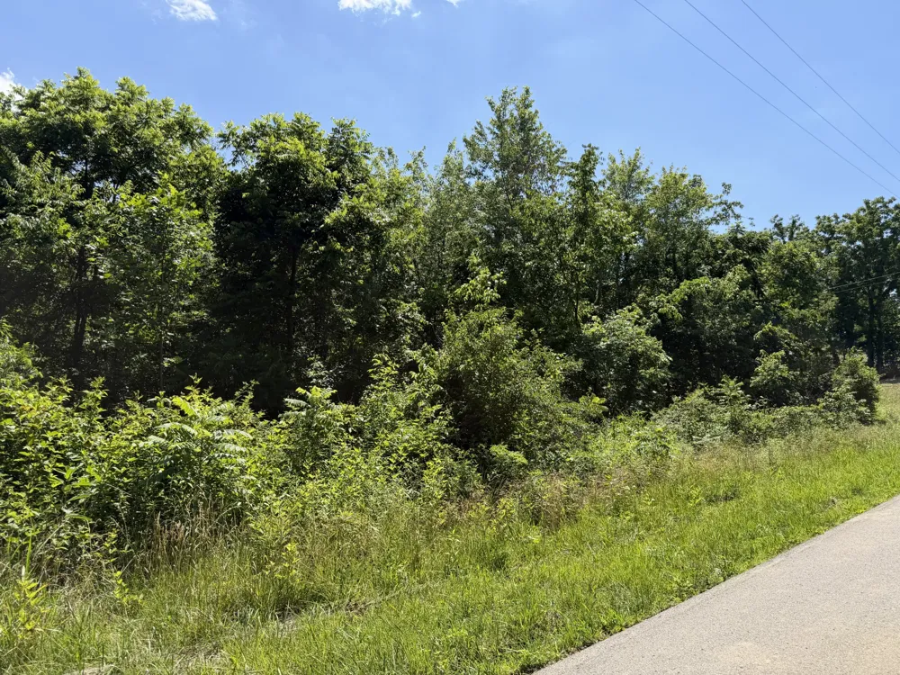 0 City Park Rd Westmoreland, TN 37186