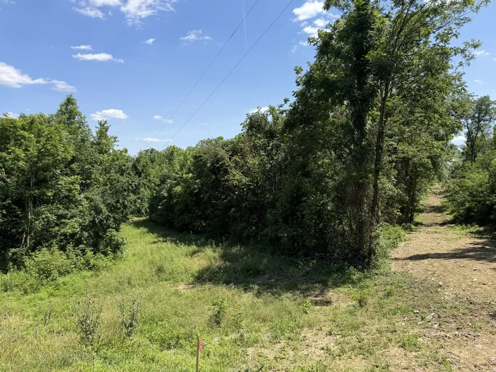 0 City Park Rd Westmoreland, TN 37186