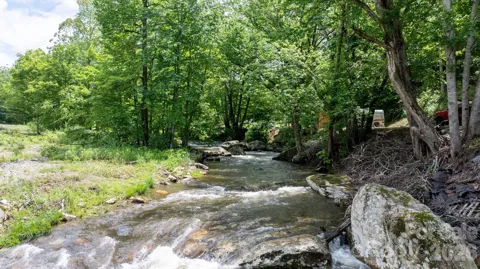 3206 Fork Mountain Road