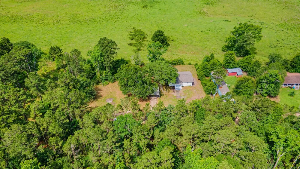 223 Rush Creek Lane Trinity, TX 75862