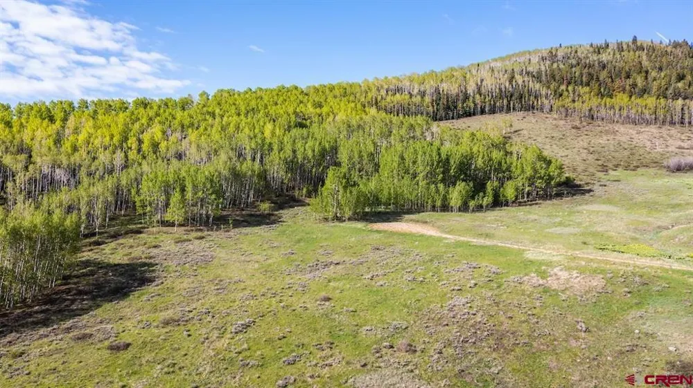719 Red Mountain Ranch Road Crested Butte, CO 81224