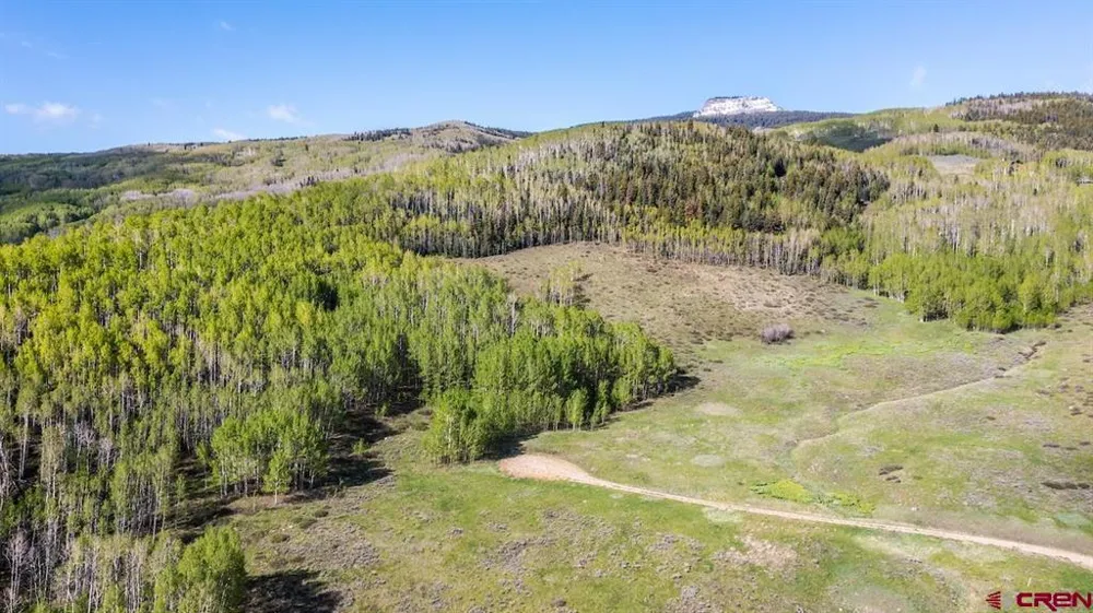 719 Red Mountain Ranch Road Crested Butte, CO 81224