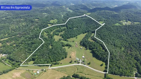 1358 Dry Branch Rd