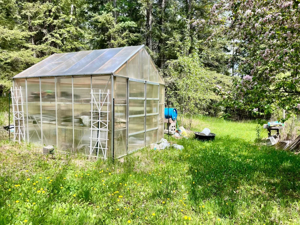 1206 E Ottum Avenue Bigfork, MN 56628