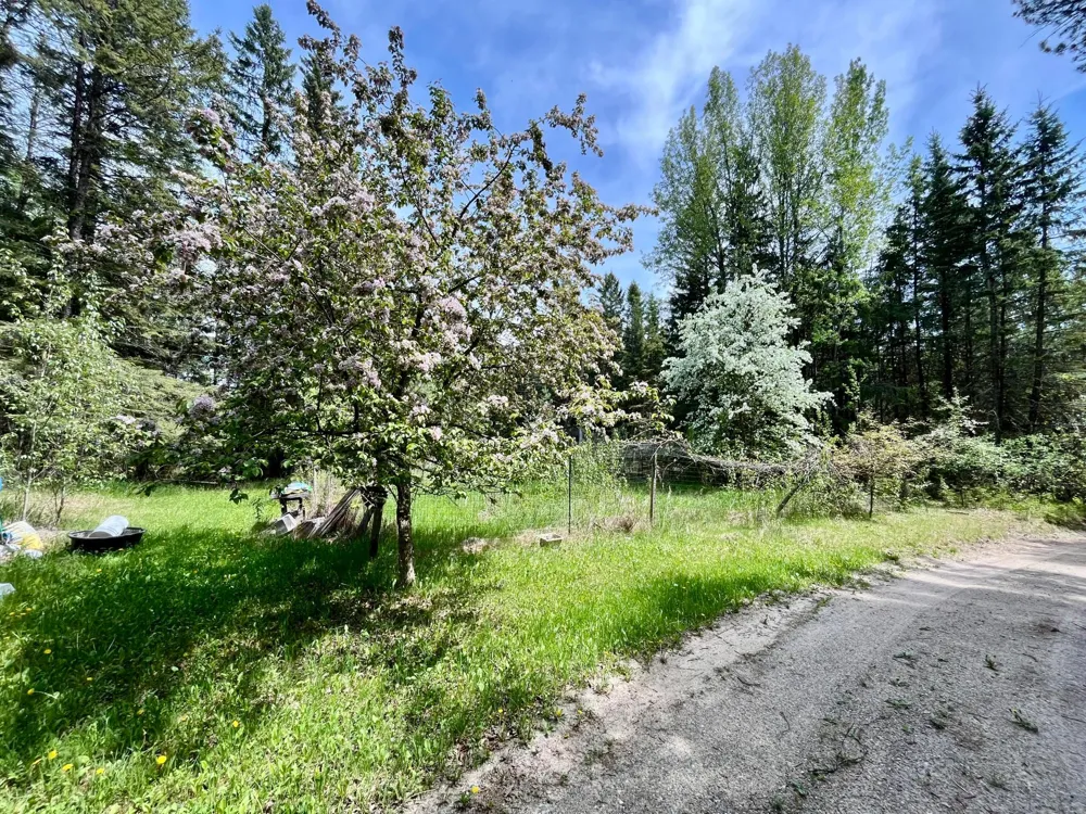 1206 E Ottum Avenue Bigfork, MN 56628