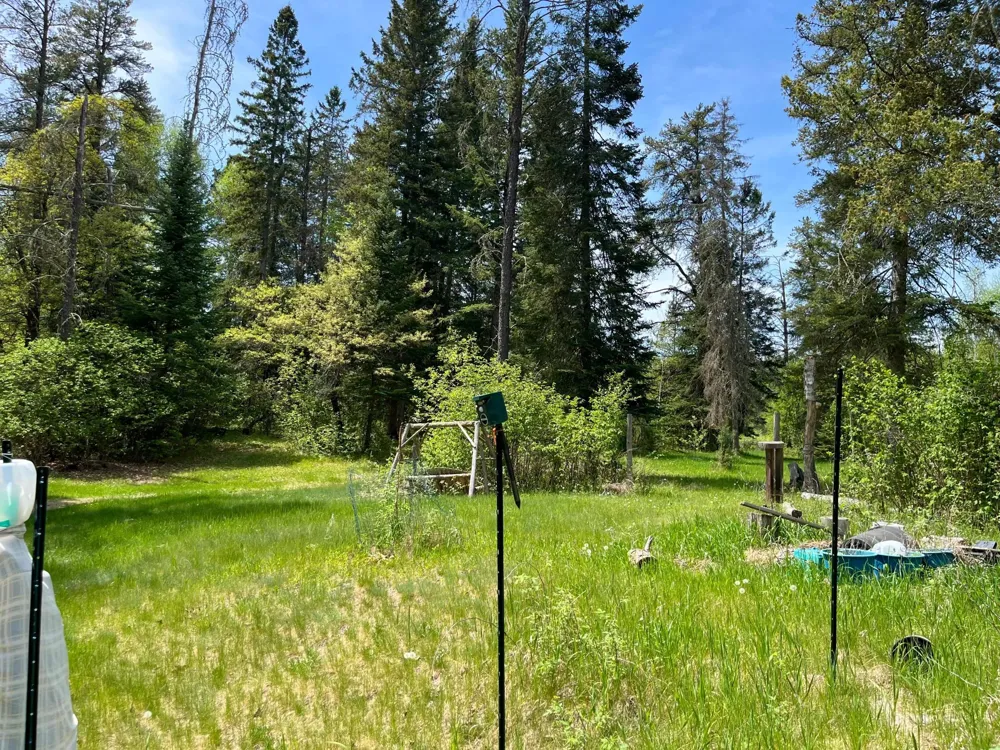 1206 E Ottum Avenue Bigfork, MN 56628
