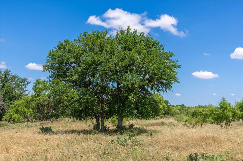 8380 Fm 585 Brownwood, TX 76801