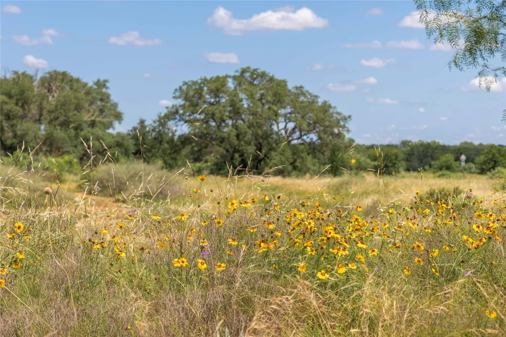 8380 Fm 585 Brownwood, TX 76801