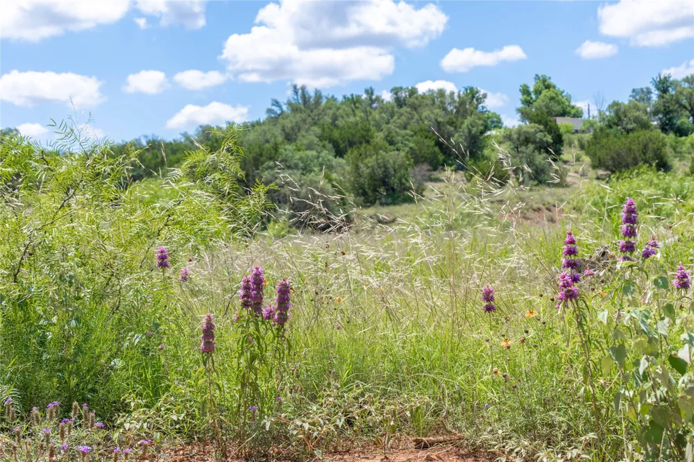 8380 Fm 585 Brownwood, TX 76801
