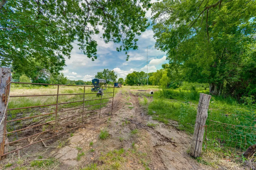 9958 Farm Road 79 Sumner, TX 75486