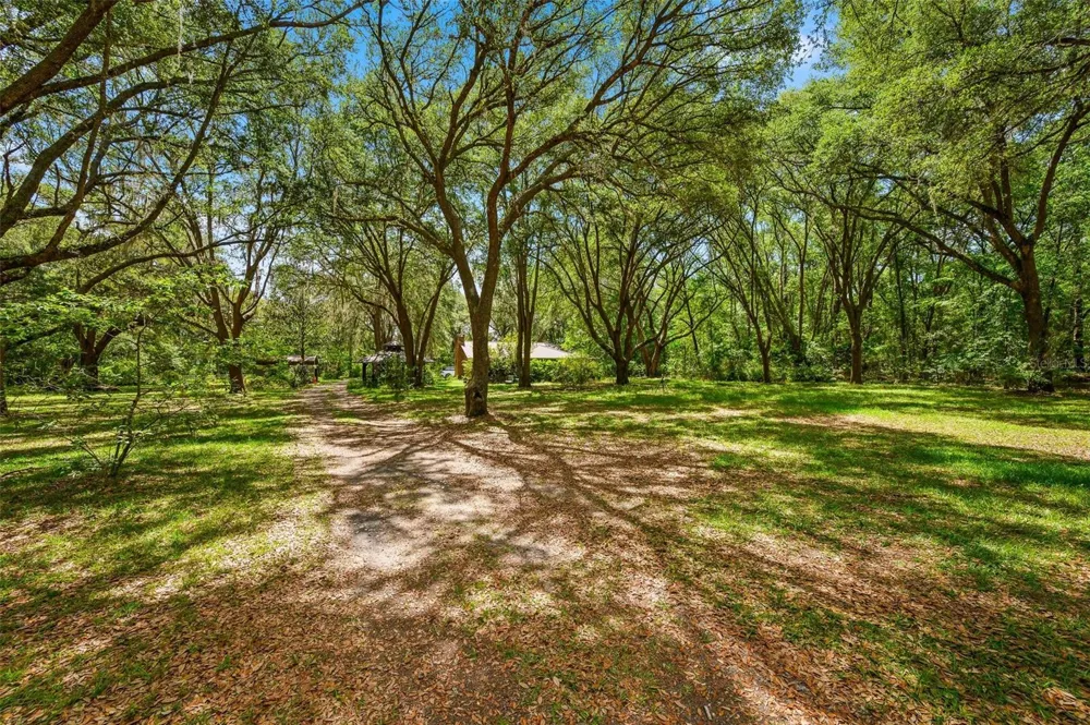 16422 NE 10TH STREET Gainesville, FL 32609