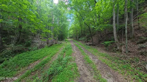 195 Sherwood Lane