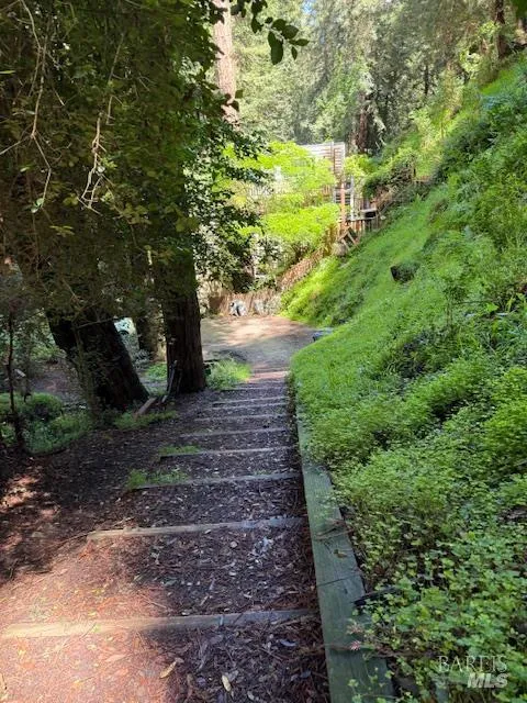 512 Park Way Mill Valley, CA 94941