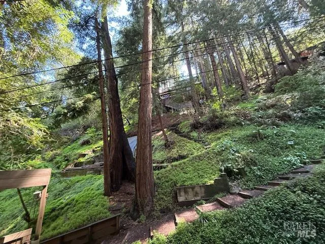 512 Park Way Mill Valley, CA 94941