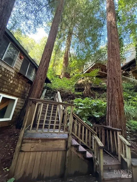 512 Park Way Mill Valley, CA 94941