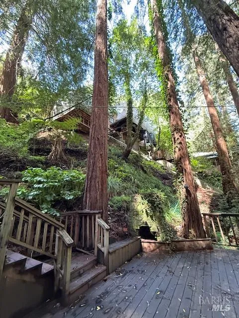 512 Park Way Mill Valley, CA 94941