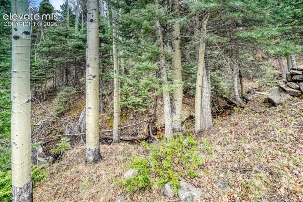 72 Gibson Road Westcliffe, CO 81252