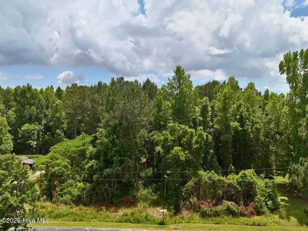 0 Ruby'S Lane Maysville, NC 28555