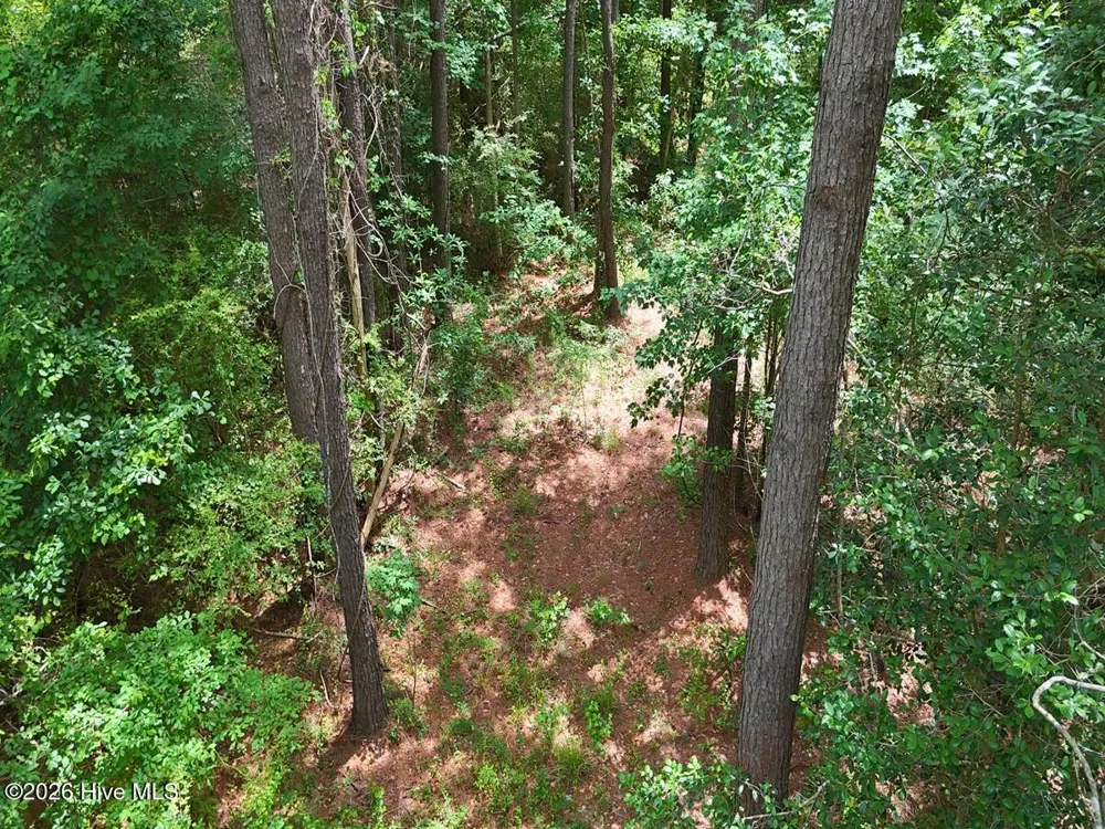 0 Ruby'S Lane Maysville, NC 28555