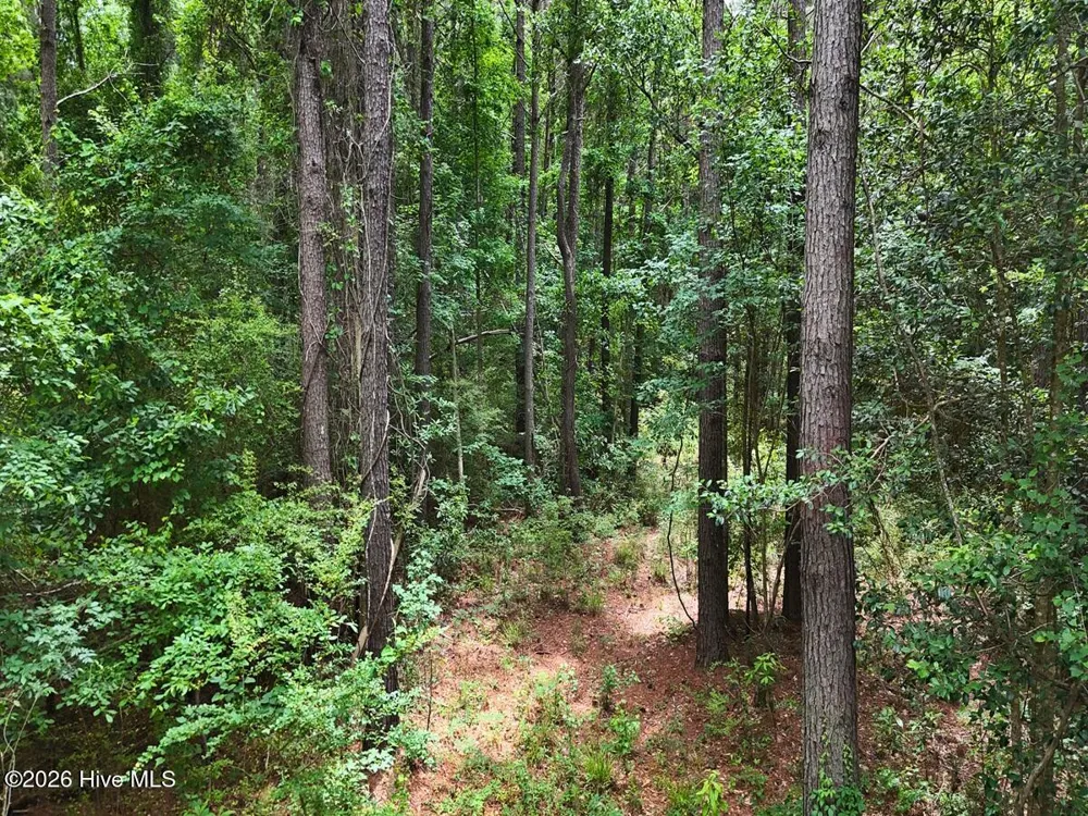 0 Ruby'S Lane Maysville, NC 28555
