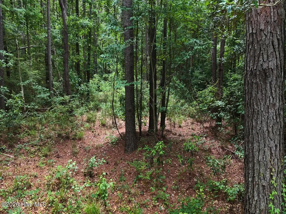 0 Ruby'S Lane Maysville, NC 28555