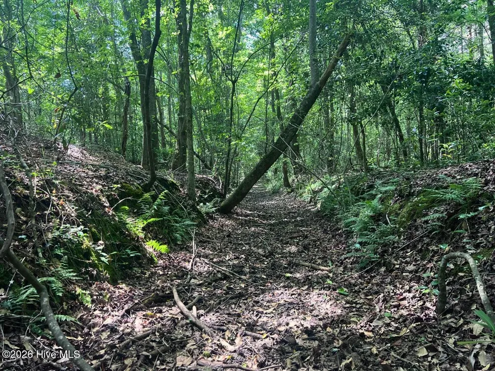 0 Ruby'S Lane Maysville, NC 28555