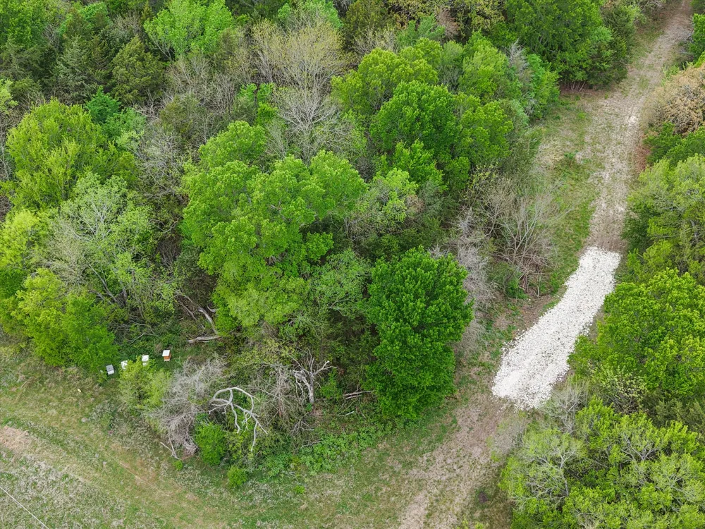 FM 709 Purdon, TX 76679