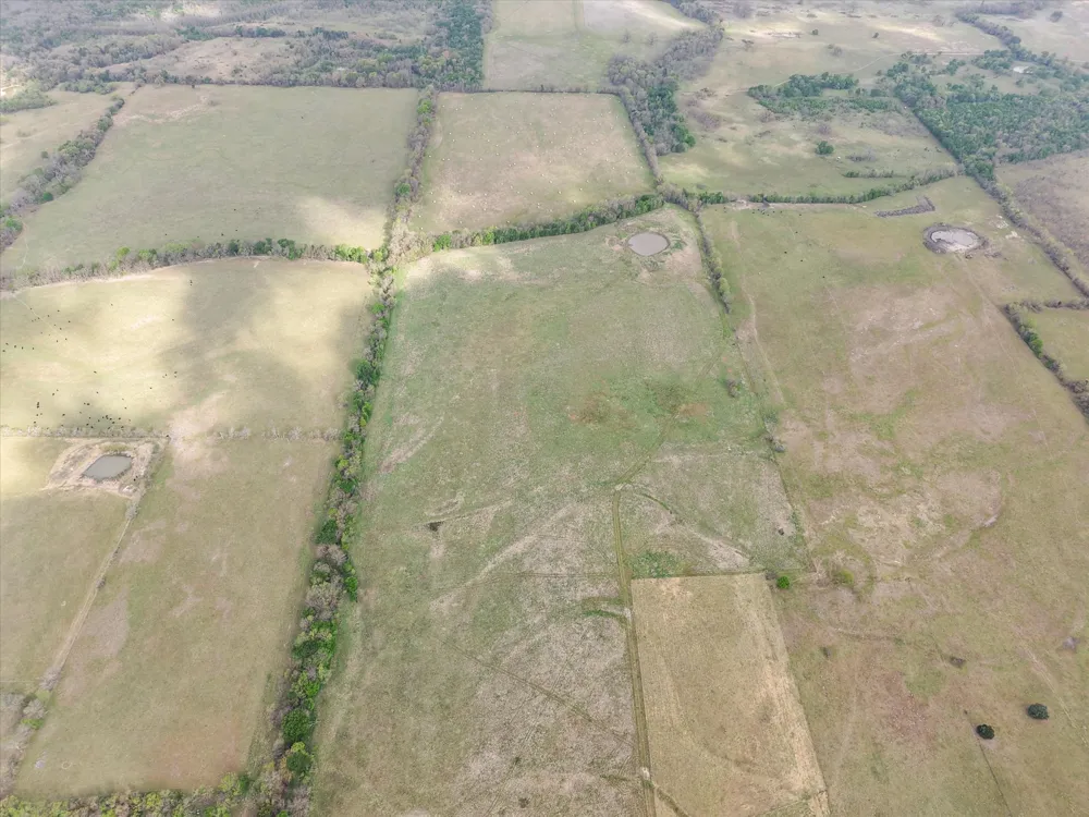 FM 709 Purdon, TX 76679