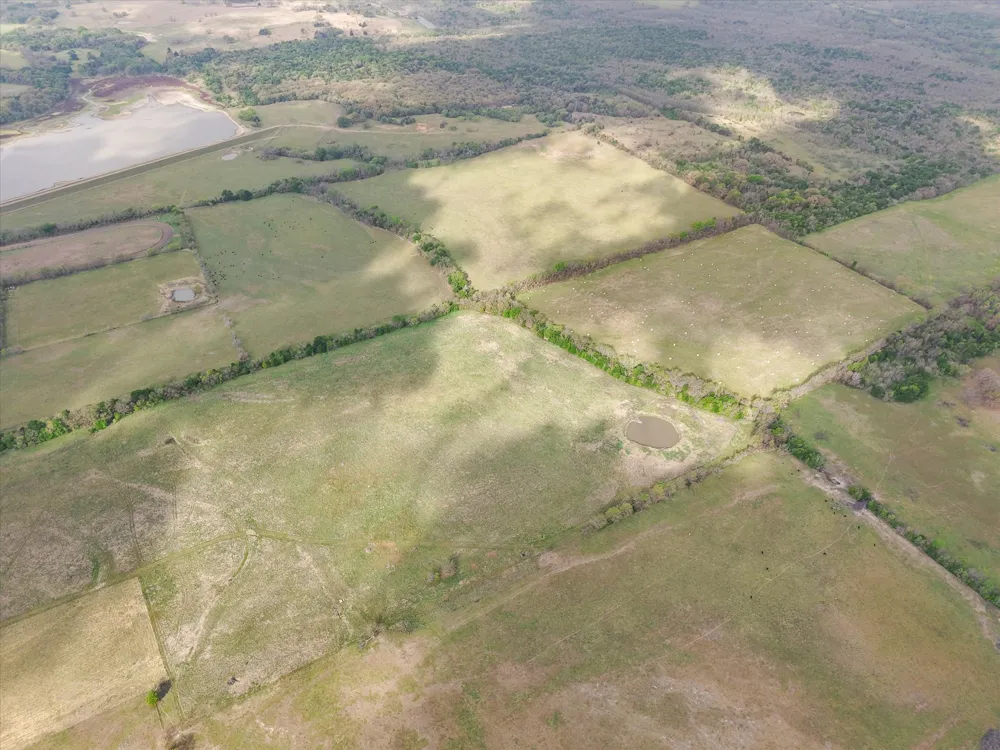FM 709 Purdon, TX 76679