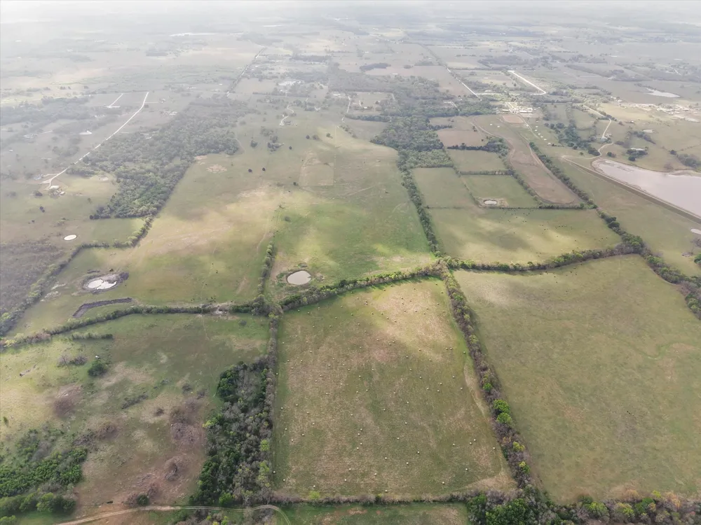 FM 709 Purdon, TX 76679
