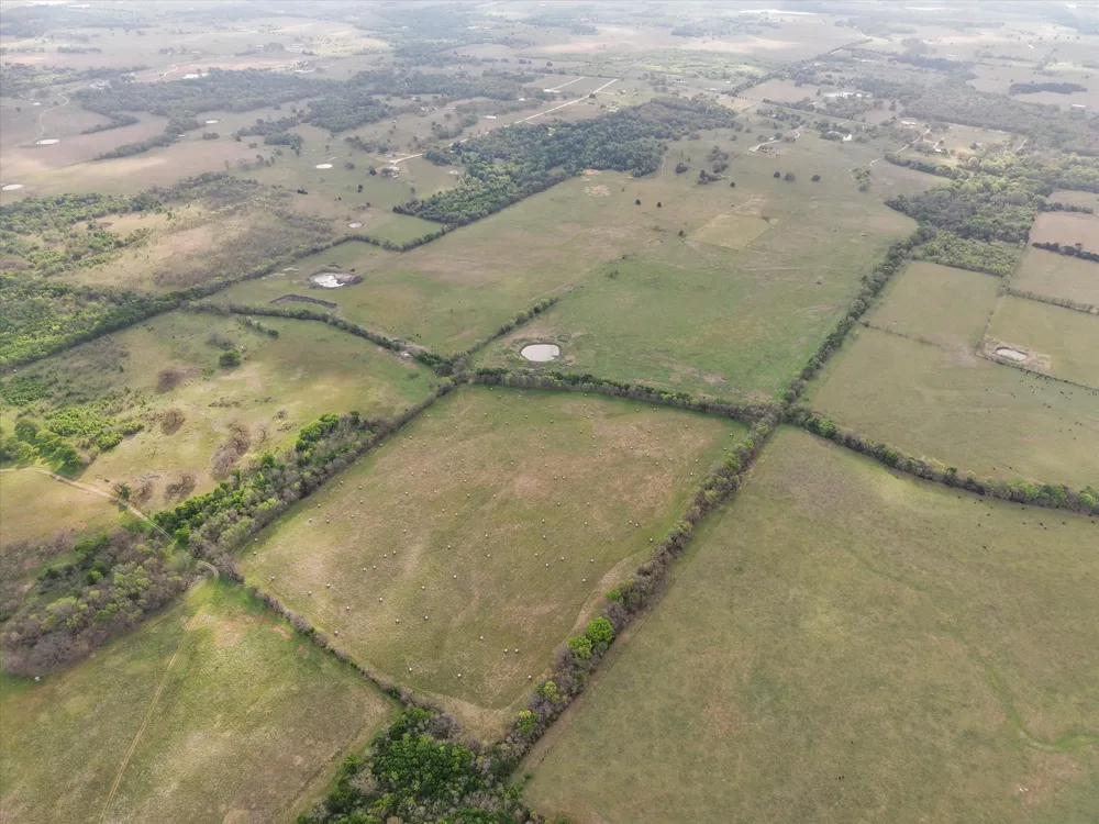 FM 709 Purdon, TX 76679