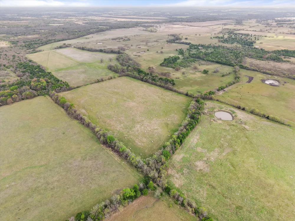 FM 709 Purdon, TX 76679