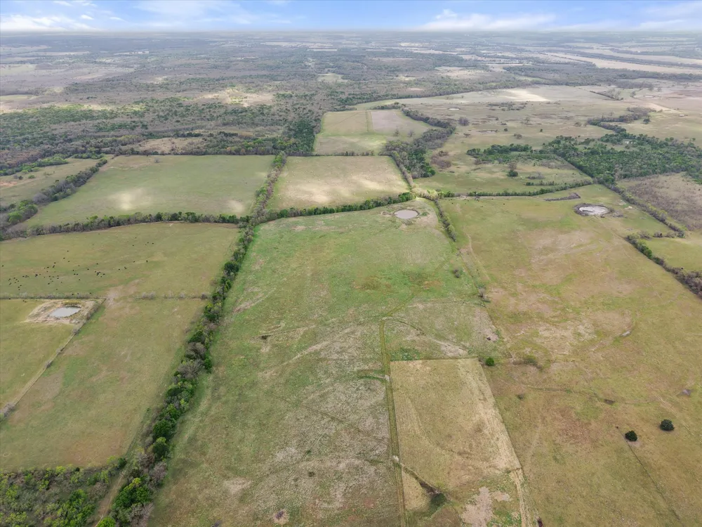 FM 709 Purdon, TX 76679