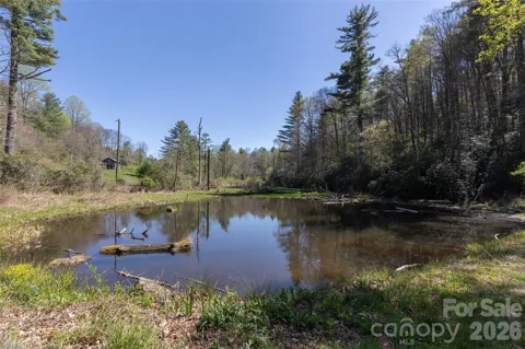 4419 Flat Mountain Road