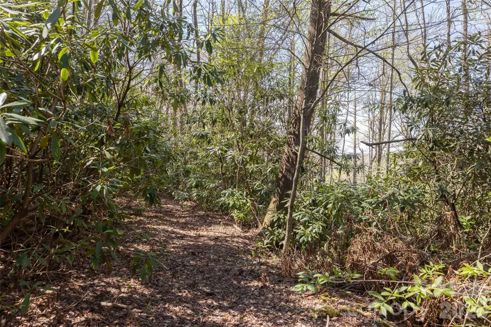 4419 Flat Mountain Road Highlands, NC 28741