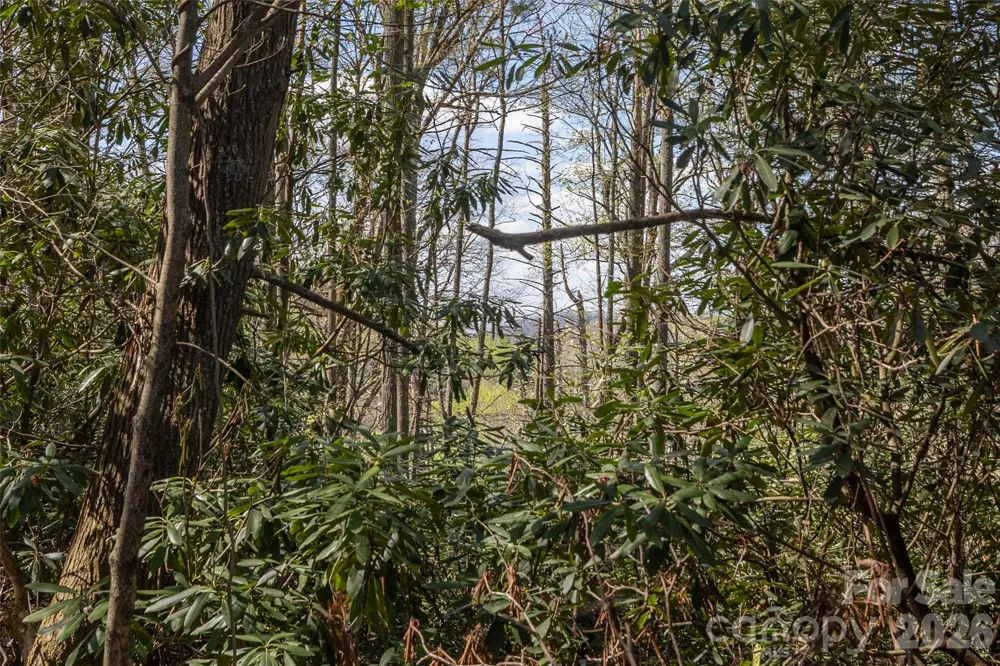4419 Flat Mountain Road Highlands, NC 28741