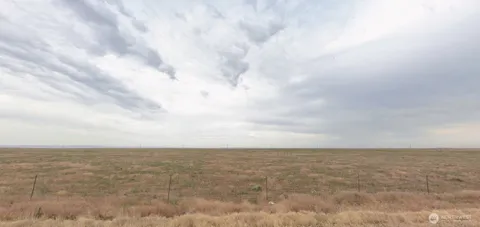 161779007 161779007