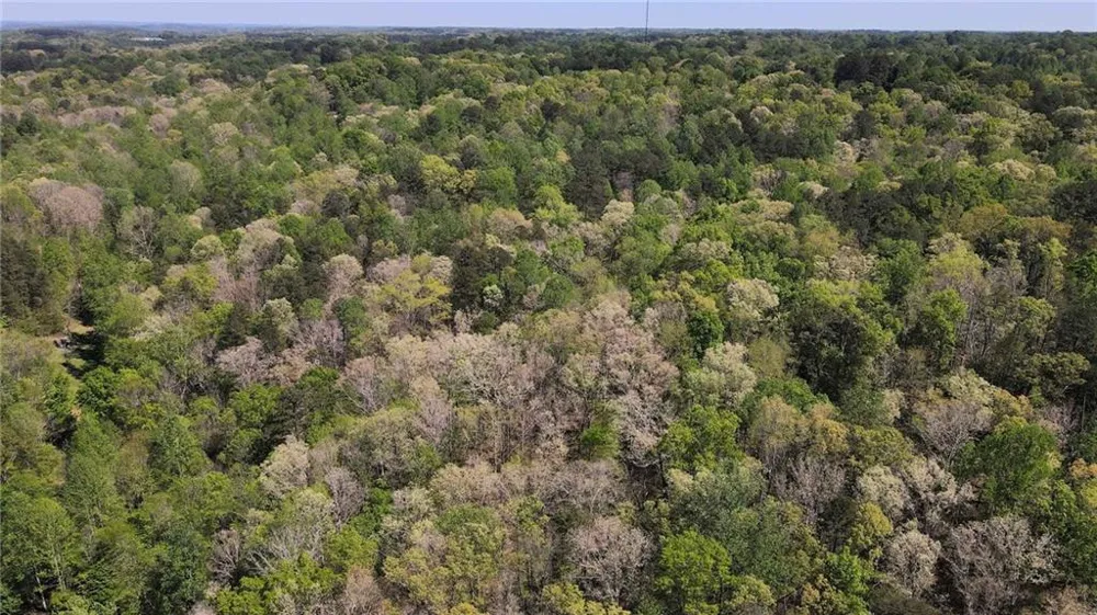 0 Crane Mountain Road Toccoa, GA 30577