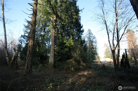 0 91st Ave SW