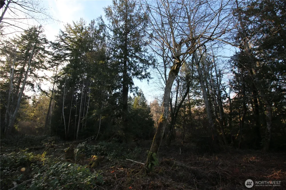 0 91st Ave SW Vashon, WA 98070