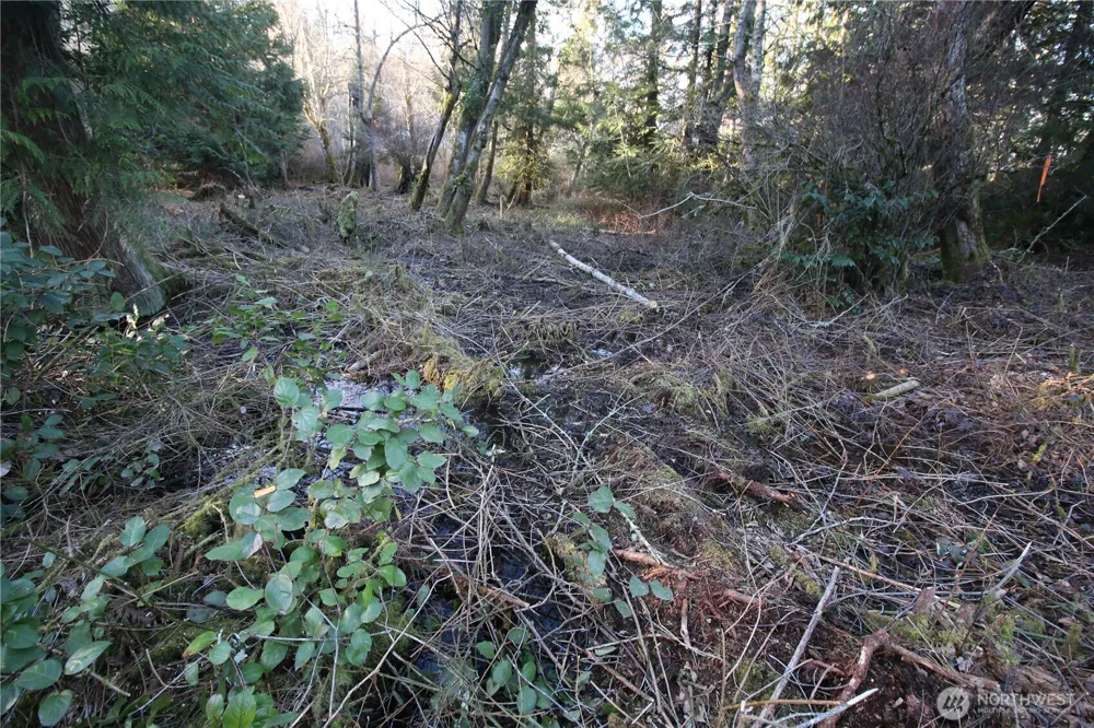 0 91st Ave SW Vashon, WA 98070